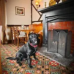 The Howard Arms Bed and breakfast