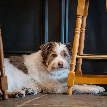 The Howard Arms Μπράμπτον